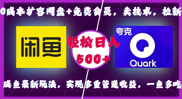 0成本扩容网盘+免费会员，卖技术，拉新，咸鱼最新玩法，实现多重管道收益，一鱼多吃，轻松日入500+-赚金金-技能学习分享