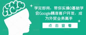 学完即用，带你实操0基础学会Google精准客户开发，成为外贸业务高手-赚金金-技能学习分享