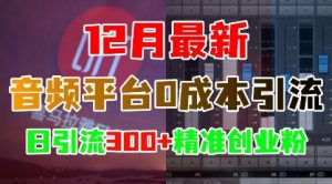 12月最新:音频平台0成本引流,日引流300+精准创业粉-赚金金-技能学习分享
