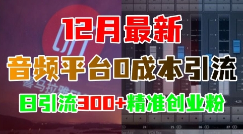 12月最新:音频平台0成本引流,日引流300+精准创业粉-赚金金-技能学习分享