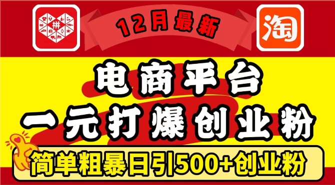 12月最新：电商平台1元打爆创业粉，简单粗暴日引500+精准创业粉，轻松月入过W【揭秘】-赚金金-技能学习分享