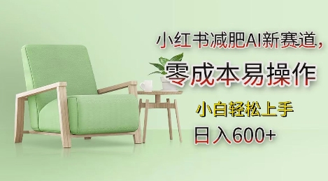 小红书减肥AI新赛道,零成本易操作,日入多张,小白轻松上手【揭秘】-赚金金-技能学习分享