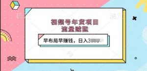 视频号年货项目,流量贼猛,早布局早挣钱,日入上k【揭秘】-赚金金-技能学习分享