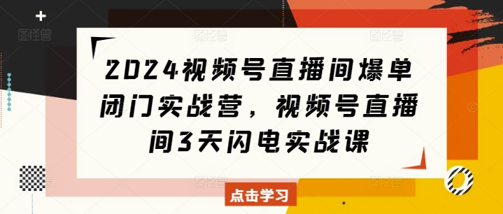 2024视频号直播间爆单闭门实战营，视频号直播间3天闪电实战课-赚金金-技能学习分享