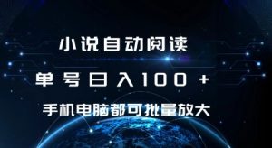 小说自动阅读 单号日入100+ 手机电脑都可 批量放大操作【揭秘】-赚金金-技能学习分享