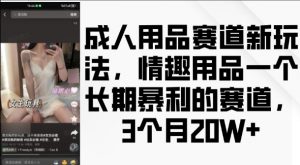 成人用品赛道新玩法,情趣用品一个长期暴利的赛道,3个月收益20个【揭秘】-赚金金-技能学习分享