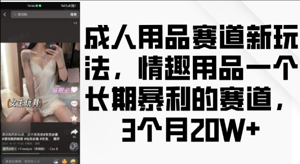 成人用品赛道新玩法，情趣用品一个长期暴利的赛道，3个月收益20个【揭秘】-赚金金-技能学习分享