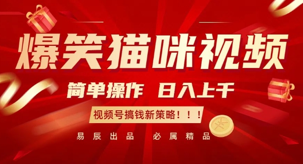 爆笑猫咪视频：简单操作，日入过K，视频号搞钱新策略【揭秘】-赚金金-技能学习分享