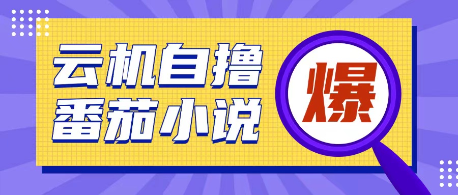 首发云手机自撸小说玩法,10块钱成本可撸200+收益操作简单【揭秘】-赚金金-技能学习分享