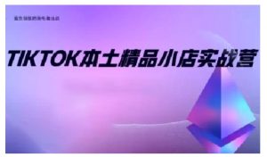 TikTok本土精品小店出海实战营,从入门到高阶,不止0-1!-赚金金-技能学习分享