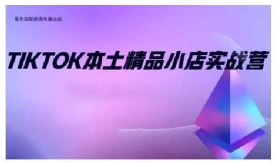 TikTok本土精品小店出海实战营，从入门到高阶，不止0-1!-赚金金-技能学习分享