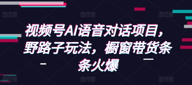 视频号AI语音对话项目，野路子玩法，橱窗带货条条火爆-赚金金-技能学习分享