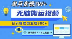 无脑搬运视频号可批量复制,新手即可操作,日引精准创业粉300+,月变现过W 【揭秘】-赚金金-技能学习分享