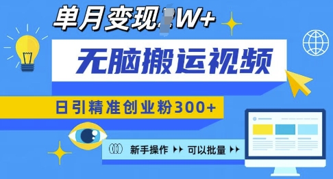 无脑搬运视频号可批量复制，新手即可操作，日引精准创业粉300+，月变现过W 【揭秘】-赚金金-技能学习分享