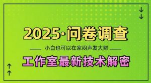 2025问卷调查最新工作室技术解密:一个人在家也可以闷声发大财,小白一天2张,可矩阵放大【揭秘】-赚金金-技能学习分享