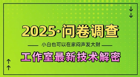 2025问卷调查最新工作室技术解密：一个人在家也可以闷声发大财，小白一天2张，可矩阵放大【揭秘】-赚金金-技能学习分享