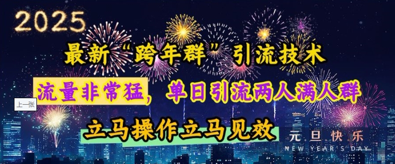 最新“跨年群”引流，流量非常猛，单日引流两人满人群，立马操作立马见效【揭秘】-赚金金-技能学习分享