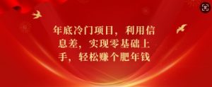 年底冷门项目,利用信息差,实现零基础上手,轻松赚个肥年钱【揭秘】-赚金金-技能学习分享