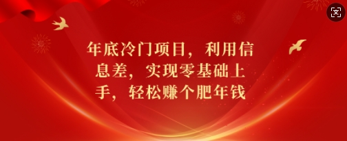 年底冷门项目，利用信息差，实现零基础上手，轻松赚个肥年钱【揭秘】-赚金金-技能学习分享