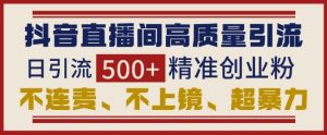 抖音直播间引流创业粉,无需连麦、不用上镜、超暴力,日引流500+高质量精准创业粉-赚金金-技能学习分享