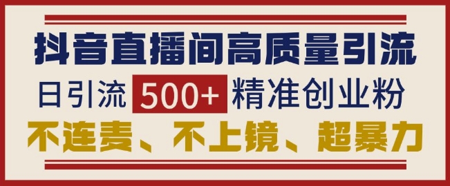 抖音直播间引流创业粉,无需连麦、不用上镜、超暴力,日引流500+高质量精准创业粉-赚金金-技能学习分享