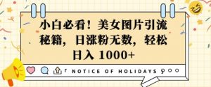 小白必看,美女图片引流秘籍,日涨粉无数,轻松日入几张【揭秘】-赚金金-技能学习分享
