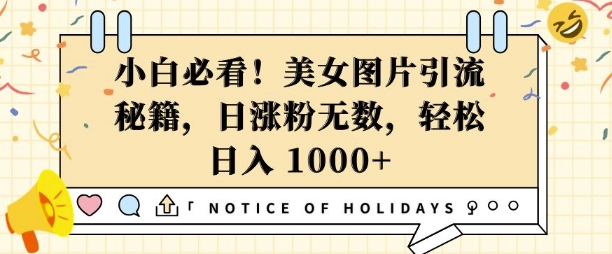 小白必看,美女图片引流秘籍,日涨粉无数,轻松日入几张【揭秘】-赚金金-技能学习分享
