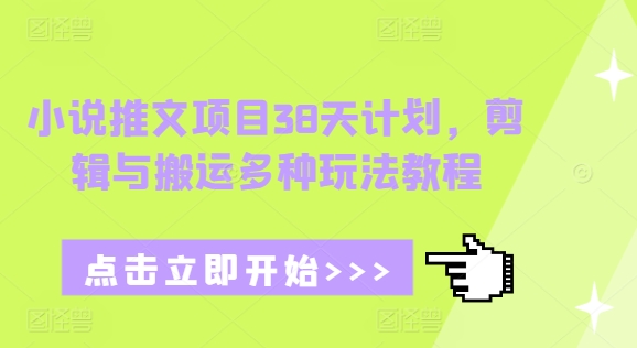 小说推文项目38天计划，剪辑与搬运多种玩法教程-赚金金-技能学习分享