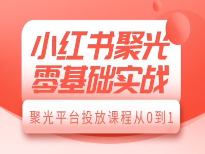 小红书聚光零基础实战,聚光平台投放课程从0到1-赚金金-技能学习分享