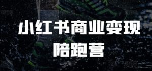 小红书商业变现陪跑营,小红书电商教程-赚金金-技能学习分享