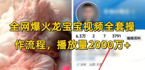 全网爆火龙宝宝视频全套操作流程,播放量2000万+-赚金金-技能学习分享