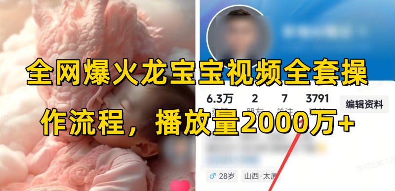 全网爆火龙宝宝视频全套操作流程,播放量2000万+-赚金金-技能学习分享