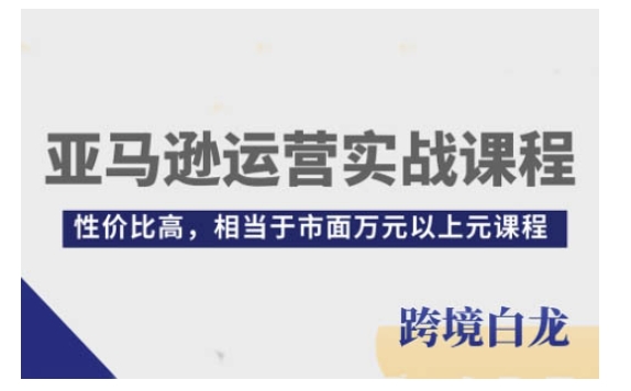 亚马逊运营实战课程，亚马逊从入门到精通，性价比高，相当于市面万元以上元课程-赚金金-技能学习分享