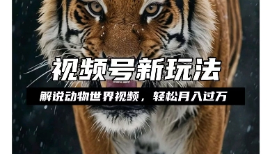 利用动物世界解说视频，赚分成计划收益，轻松月入过W，操作简单【揭秘】-赚金金-技能学习分享
