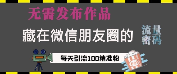 藏在微信朋友圈的流量密码，无需发布作品，单日引流100+精准创业粉【揭秘】-赚金金-技能学习分享
