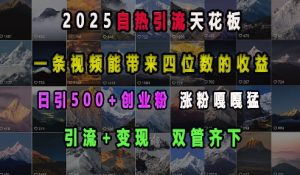 2025自热引流天花板,一条视频能带来四位数的收益,引流+变现双管齐下,日引500+创业粉,涨粉嘎嘎猛-赚金金-技能学习分享