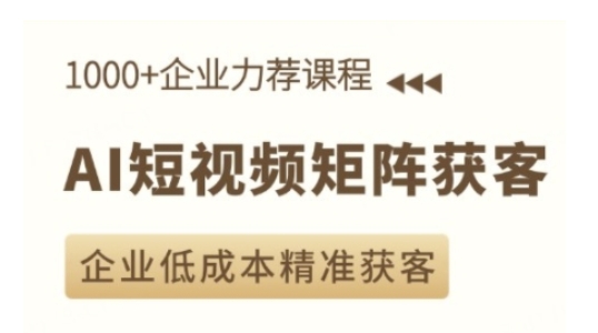 AI短视频矩阵获客实操课，企业低成本精准获客-赚金金-技能学习分享