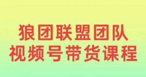 狼团联盟2024视频号带货,0基础小白快速入局视频号-赚金金-技能学习分享