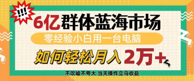 6亿群体蓝海市场,零经验小白用一台电脑,如何轻松月入过w【揭秘】-赚金金-技能学习分享