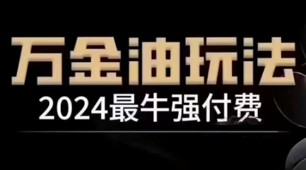 2024最牛强付费，万金油强付费玩法，干货满满，全程实操起飞（更新12月）-赚金金-技能学习分享
