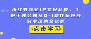 小红书商业IP变现私教，手把手教会你从0-1制作短视频到变现的全过程-赚金金-技能学习分享