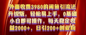 外面收费3980的闲鱼引流法,轻松易上手,0基础小白即可操作,日引200+创业粉的保姆级教程【揭秘】-赚金金-技能学习分享