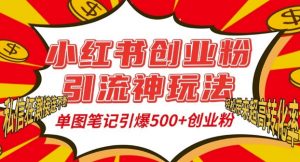 小红书创业粉引流神玩法,单图笔记引爆500+精准创业粉丝,私信狂潮接连不断-赚金金-技能学习分享