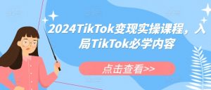 2024TikTok变现实操课程,入局TikTok必学内容-赚金金-技能学习分享