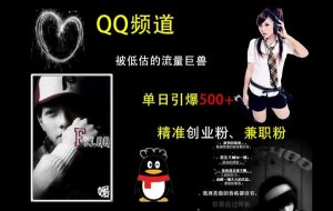 QQ频道:被低估的流量巨兽,单日引爆500+精准创业粉、兼职粉的引流秘籍-赚金金-技能学习分享