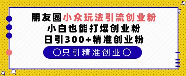 朋友圈小众玩法引流创业粉，小白也能打爆创业粉，日引300+精准创业粉【揭秘】-赚金金-技能学习分享