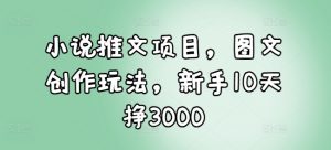 小说推文项目,图文创作玩法,新手10天挣3000-赚金金-技能学习分享