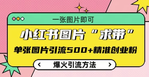 小红书图片‘求带’爆火引流法，单张图片引流500+精准创业粉【揭秘】-赚金金-技能学习分享
