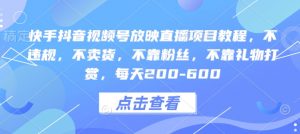 快手抖音视频号放映直播项目教程,不违规,不卖货,不靠粉丝,不靠礼物打赏,每天200-600-赚金金-技能学习分享