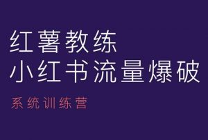 红薯教练-小红书内容运营课,小红书运营学习终点站-赚金金-技能学习分享